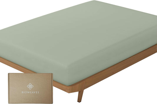 100% Organic Cotton 1 Fitted Sheet Queen Size Only | 300 Thread Count Sateen Weave GOTS Certified with Deep Pocket - Basil